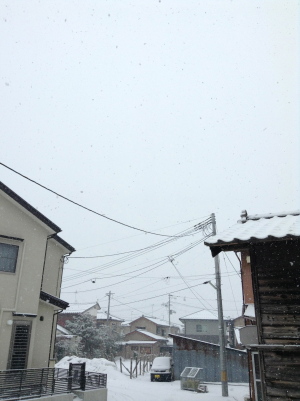 今日も雪〜