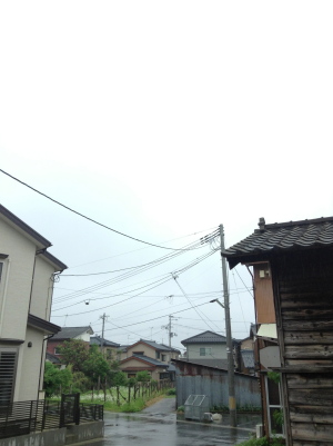 雨 雨